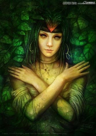 Photoshop CS5LƅֻͮL(fng)宋